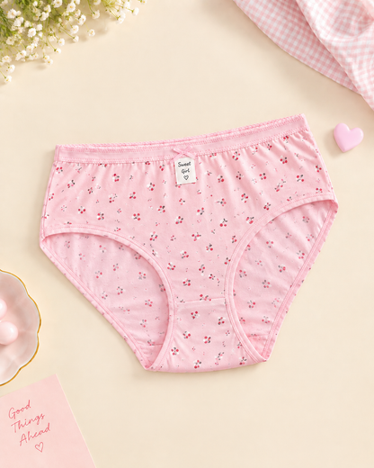 Pack of 4 Women Soft Cotton Plain Panty Secretinner